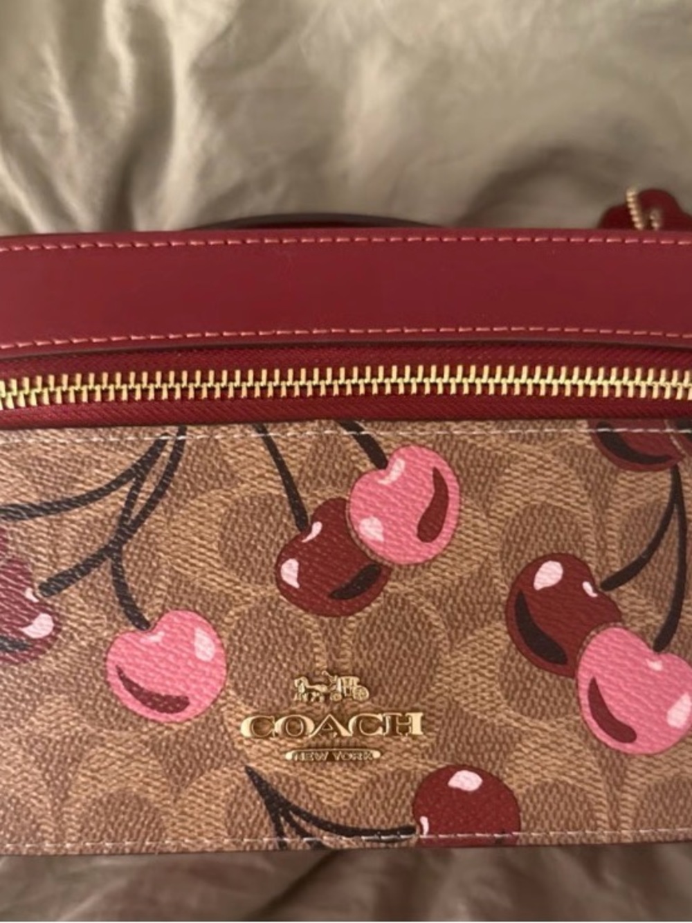 Coach Cherry Print Signature Cosmetic Case